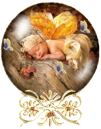 Bébé papillon