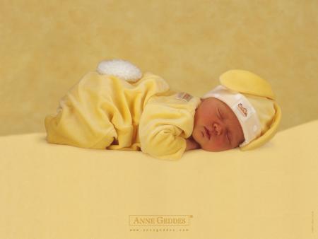 Bébé lapin