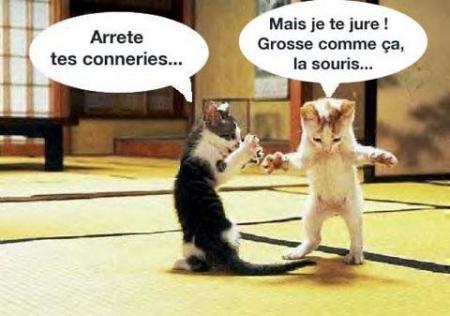 Rire