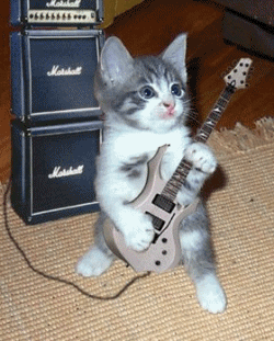 Johnny Guitare