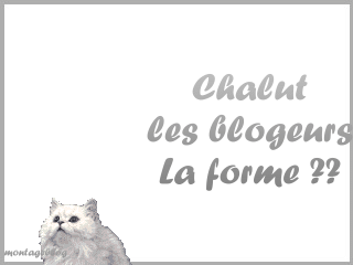Chalut à tous bisous
